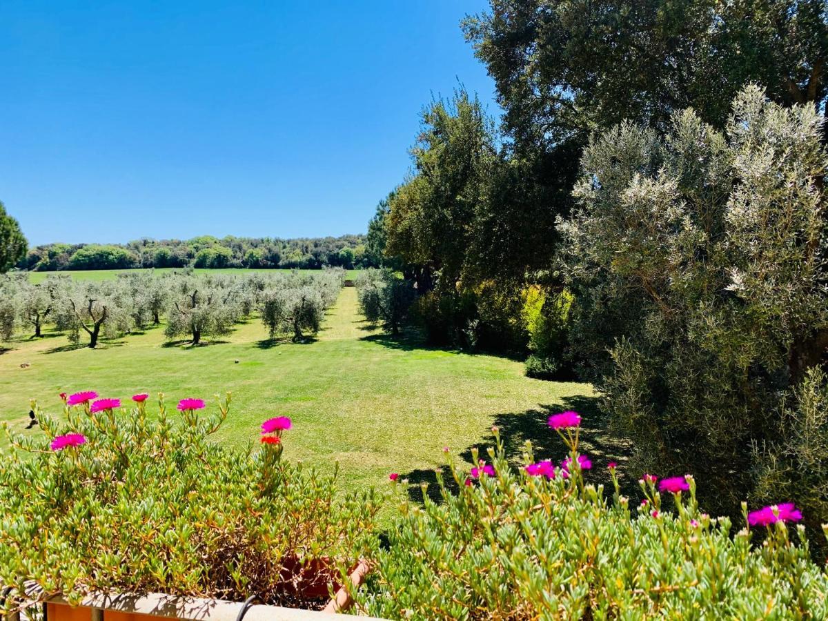 B&B Valle D'Oro Ansedonia Luaran gambar
