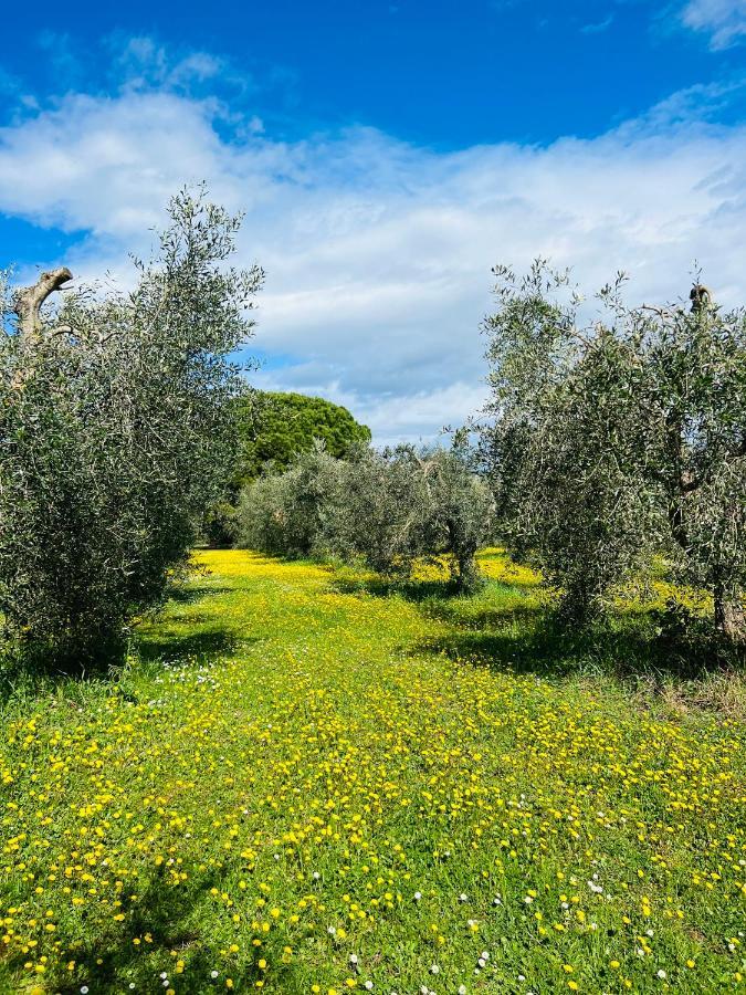 B&B Valle D'Oro Ansedonia Luaran gambar