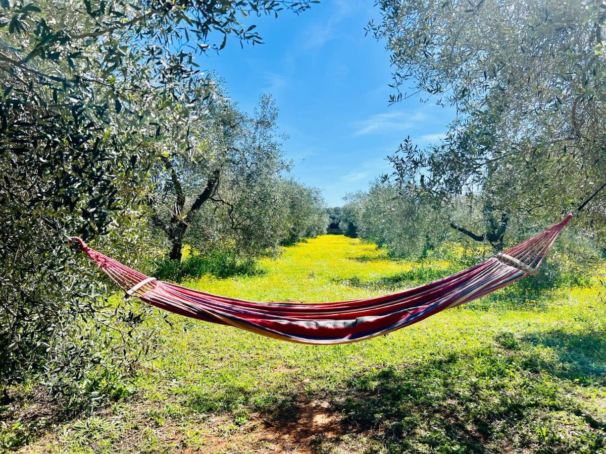 B&B Valle D'Oro Ansedonia Luaran gambar