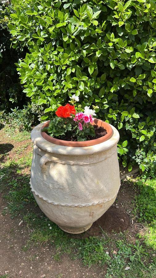 B&B Valle D'Oro Ansedonia Luaran gambar